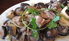 Dinh dưỡng từ nấm