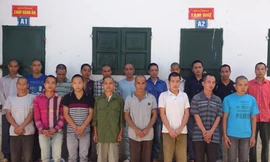 Bắt 20 đối tượng trộm 50 con trâu, bò