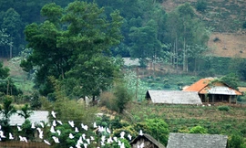 Từ bản Dõn về Thủ đô