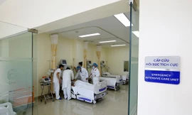 Ảnh minh họa: Internet