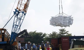 Theo thống kê mới nhất của Tổng cục Hải quan, từ đầu năm đến 15/3, cả nước xuất khẩu xấp xỉ 1,3 triệu tấn gạo, tổng trị giá khoảng 601 triệu USD Ảnh: Cảnh Kỳ