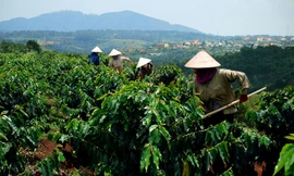 Biến áp lực thành động lực