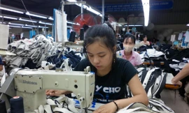 Dệt may là một trong những ngành hàng lợi thế khi Việt Nam ký hiệp định EVFTAẢnh : Bình Phương