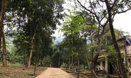 Cảnh hoang tàn của khu du lịch Suối Ngọc - Vua Bà 