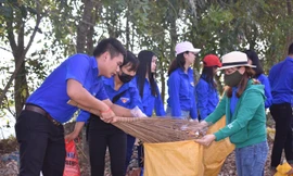 Tuổi trẻ Hậu Giang vệ sinh môi trường hưởng ứng Ngày Chủ nhật xanh Ảnh: TÐCC 