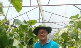 Lường Đình Hùng bên vườn cây của một thành viên HTX ảnh: NVCC