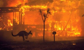 Cháy rừng lan rộng nhiều nơi ở Úc ảnh: CNN