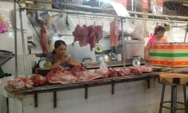 Thịt ê hề, tiểu thương rầu rĩ cập nhật thông tin dịch tả lợn châu Phi từng phút