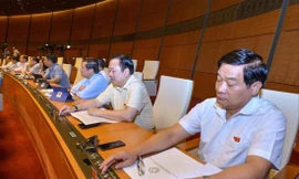 Các đại biểu “bấm nút” bày tỏ quan điểm về các phương án được quy định trong Dự Luật phòng chống tác hại rượu bia ảnh: Như Ý