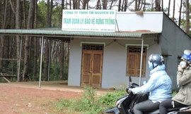 Trạm quản lý bảo vệ rừng trồng của Cty Nguyên Vũ luôn “cửa đóng then cài” ảnh: V.L