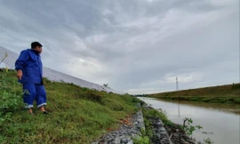 Đoạn đê bị sạt dài hàng trăm mét, ăn sâu vào thân đê