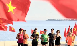 Tỏi Lý Sơn bây giờ. Ảnh: Nguyễn Ngọc 