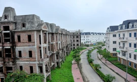 Nhiều biệt thự bỏ hoang đến nay ở khu Xuân Phương, Hà Nội Ảnh: Hồng vĩnh