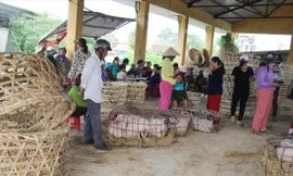 Chưa bao giờ, người ngồi không lại nhiều hơn người mua bán và bồng heo trong chợ Bà Rén như những ngày “bão” dịch này Ảnh: Thanh Trần