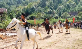 Đua ngựa không yên trên cao nguyên