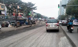 Đào đường trên phố Trần Khánh Dư (quận Hoàn Kiếm, Hà Nội)