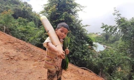 Cậu bé Hồ Ánh Khiết vác búp măng tre lội bộ nửa giờ đồng hồ đến điểm tiếp nhận thực phẩm ủng hộ chống dịch