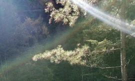 Mỏm núi rơi xuống từ độ cao 2.654m trong trận động đất ngày 8/8/2017 ảnh: Anh Tuấn