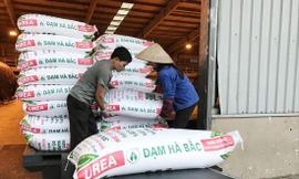 Nhiều doanh nghiệp sản xuất phân bón trong nước điêu đứng vì phân bón giả, nhái và phân bón nhập khẩu từ các nướcẢnh: Thục Quyên