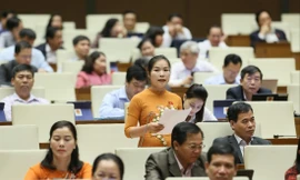 ĐBQH Cao Thị Giang phát biểu tại Hội trường Ảnh: Như Ý