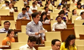 ĐB Nguyễn Mạnh Cường Ảnh: Như Ý