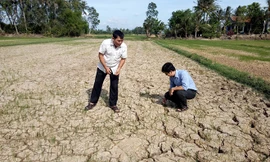 Miền Trung trải qua đợt khô hạn lịch sử