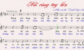 Ca khúc cộng đồng Nối vòng tay lớn của Trịnh Công Sơn dù đã hát cả ngàn chương trình có quy mô lớn nhưng cuối cùng bị phát hiện là chưa ai cấp phép theo NÐ 79