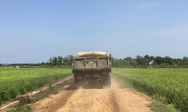 Xe ben chở cát đi trên đường nội đồng Giang Điền