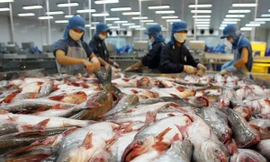 Các doanh nghiệp sản xuất hàng xuất khẩu cần được hỗ trợ về vốn vay Ảnh: H.V