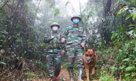 Bộ Quốc phòng chỉ đạo lắp camera trên biên giới chống xuất nhập cảnh trái phép