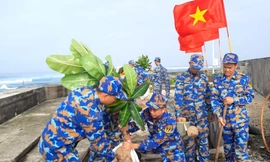 Chiến sĩ Hải quân sôi nổi hưởng ứng Tết trồng cây 2023