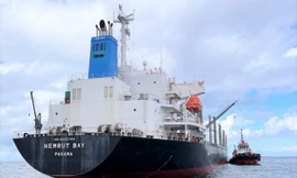 Hải quân Việt Nam cứu hộ tàu Panama mắc cạn tại Bình Thuận