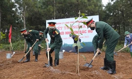 Phát động Tết trồng cây nhớ ơn Bác Hồ tại Khu di tích K9 - Đá Chông