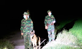 Kết quả cuộc thi trực tuyến tìm hiểu 'Biên cương tổ quốc tôi' tuần 3