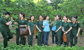 Các đại biểu dự hội nghị tham quan mô hình xây dựng điểm Hội phụ nữ vững mạnh xuất sắc ở Quân chủng Phòng không - Không quân, sáng 9/5