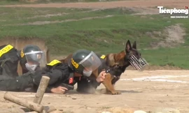 Cận cảnh chiến binh đặc biệt ‘săn’ tội phạm