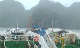 Hải quân cứu nhiều người gặp nạn trên biển do bão số 3