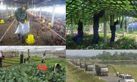 ‘Thực túc binh cường’ ở Trung đoàn Vận tải 654