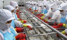 Có nên 'luật hóa' thưởng Tết?