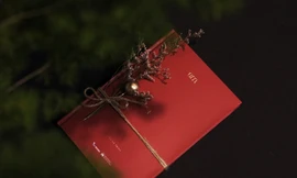 “EM” - Đơn thuốc trị liệu cảm xúc dành cho các cô gái từ “bác sĩ” Liêu Hà Trinh 