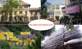 Biệt thự tàn phá rừng Sóc Sơn bất động, nhồi cao ốc 18 tầng sẽ thành 'điểm nóng'