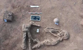Một trong các bộ hài cốt vừa được khai quật. Ảnh: AP.