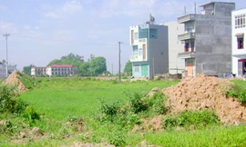 Thủ tướng đồng ý cho UBND tỉnh Thái Nguyên chuyển đổi 15,7 ha đất trồng lúa để làm dự án. Ảnh minh họa.