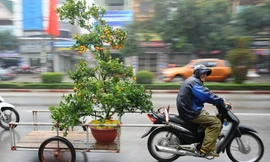 Những nghề thu nhập tăng đột biến nhờ Tết