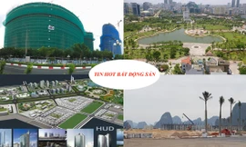 Vân Đồn ‘mã hồi’ giá đất, 'ông lớn' bất động sản bị dân vây trụ sở vì...thất hứa