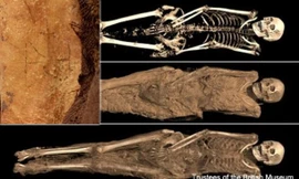 Giật mình xác ướp ẩn giấu bí mật thách thức cả thiên tài