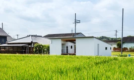 Nhà một tầng siêu đẹp giữa cánh đồng, chan hòa với thiên nhiên