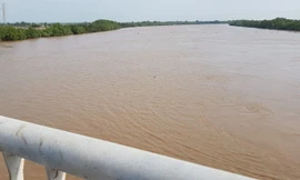 Một nam dân quân tự vệ nghi nhảy cầu tự tử