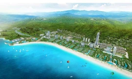 Quý II/2019, doanh thu và lợi nhuận Tập đoàn CEO tăng ấn tượng