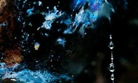 Phước 'Khùng' với bộ ảnh thông chảy máu